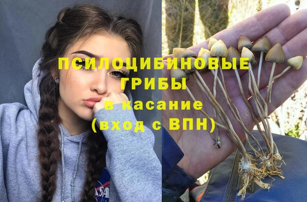 ешки Белокуриха