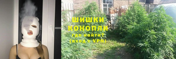 ешки Белокуриха